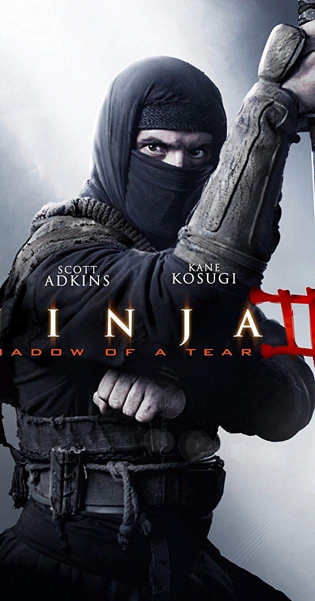 Ninja- Shadow of a Tear (2013)