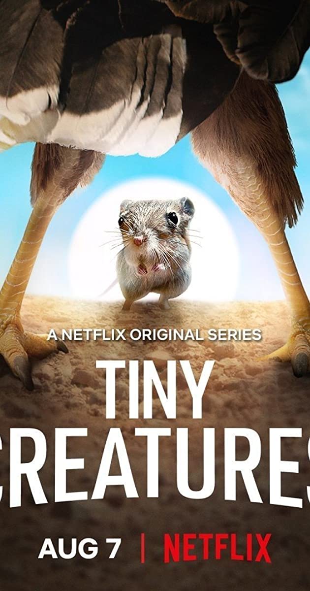 Tiny Creatures TV Series (2020)