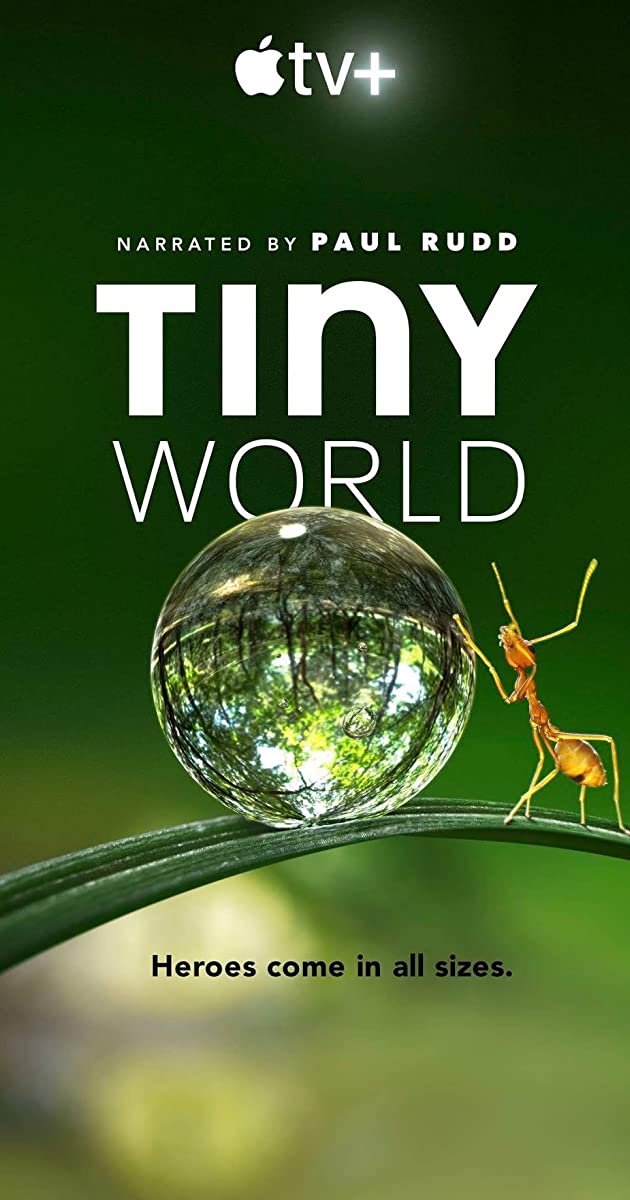 Tiny World TV Series (2020)