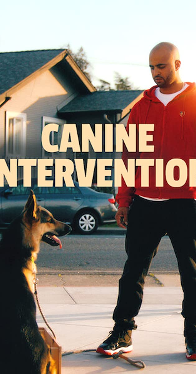 Canine Intervention TV Series (2021)
