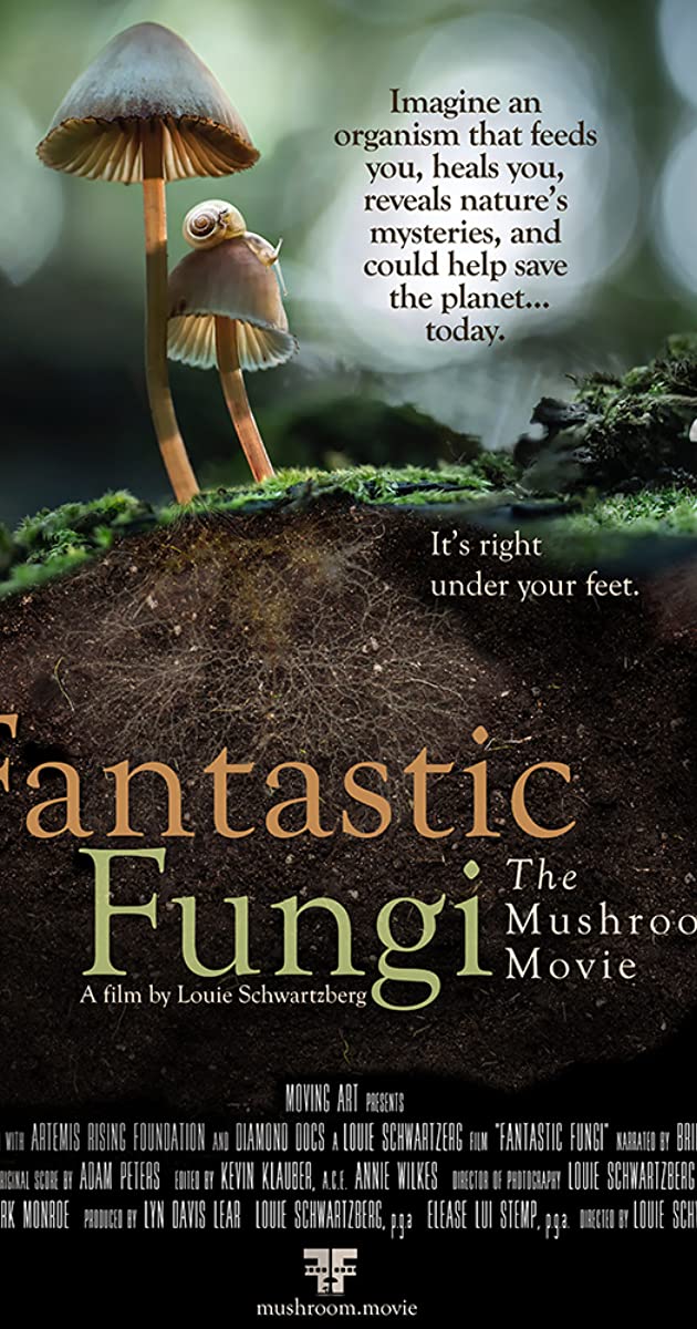 Fantastic Fungi (2019)